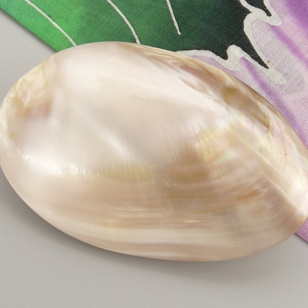 Perlmutt Haarspange oval - mother of pearl barrette oval