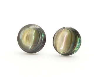 Paua Ohrstecker - Paua shell stud earrings