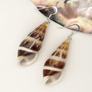 May include: A pair of earrings featuring brown and white seashells with silver hooks.