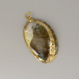 Puede incluir: Un colgante de concha de abulón con ribete dorado y un bucle para colgar. La concha es de color marrón y verde natural con un acabado liso y brillante.