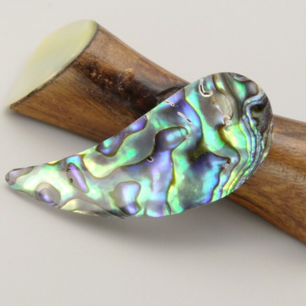 Paua Brosche  -  paua shell brooch