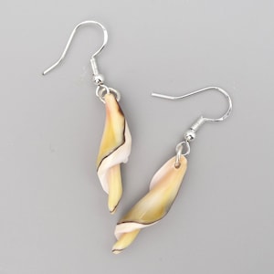 Könnte beinhalten: Ein Paar Ohrhänger mit länglichen, spiralförmigen Muschelanhängern in Creme-, Beige- und Dunkelbrauntönen. Die Muscheln hängen an silberfarbenen Metall-Ohrhaken und bilden ein hängendes Design mit einer glatten, polierten Oberfläche.