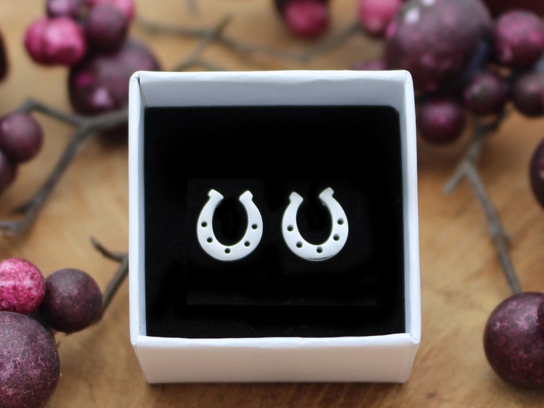 Stud earrings horseshoe luck choice of colors Silver