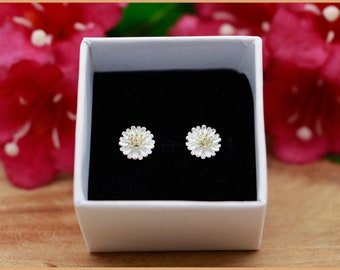 Earrings Daisies silver-plated