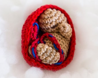Amigurumi baby pattern placenta and uterus, baby amigurumi, amigurumi pregnancy