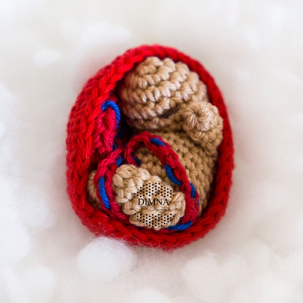 Amigurumi baby pattern placenta and uterus, baby amigurumi, amigurumi pregnancy