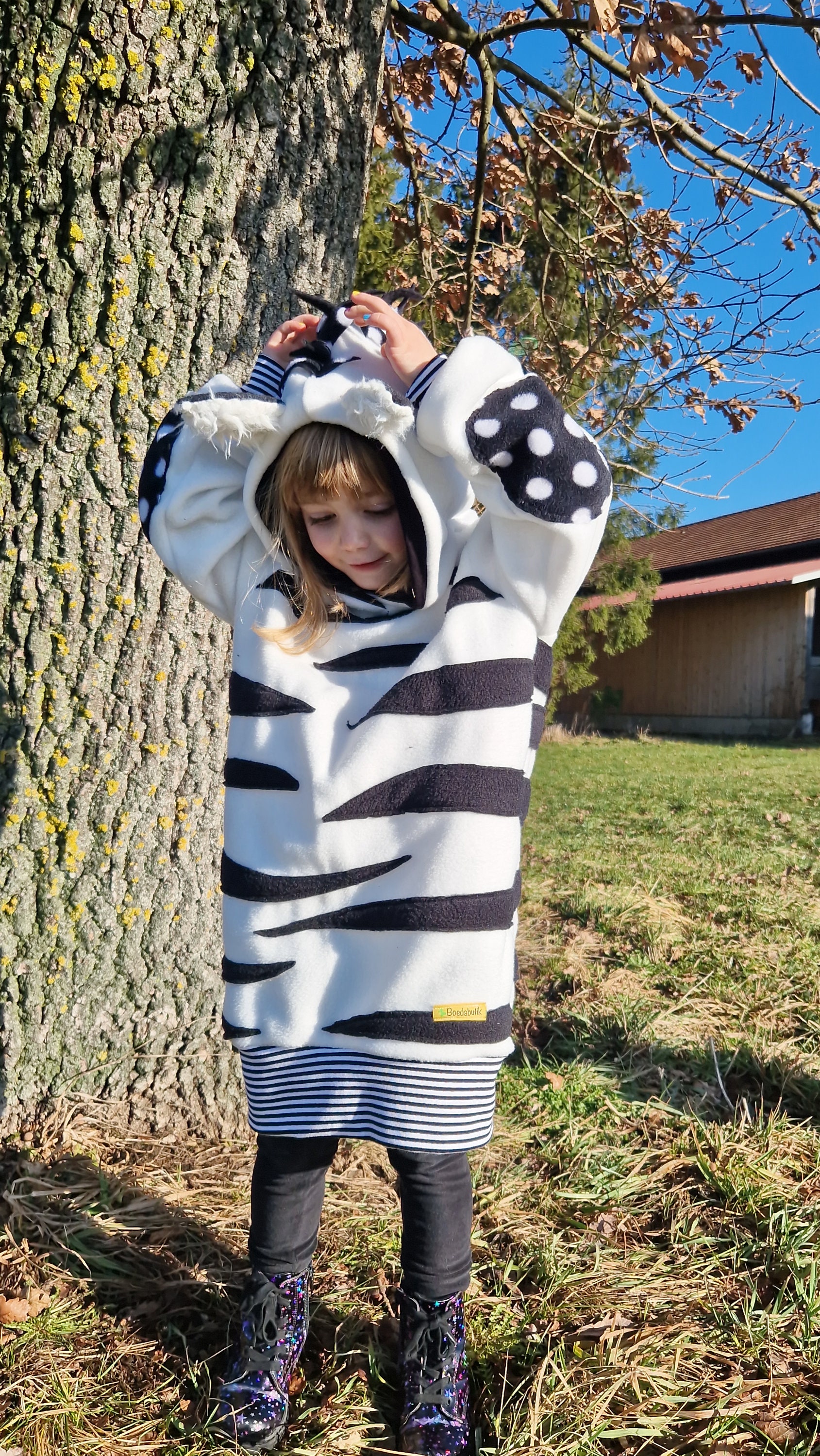 Zebra costume 2024