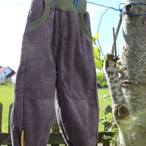 May include: A pair of brown corduroy trousers with green fabric at the waistband and cuffs. The trousers are hanging on a washing line with blue clothes pegs. The text "wasserb&auml;ren" is visible on the trousers.