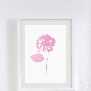 philuko Print Hortensie DIN A4 in Wunschfarbe Bild 1