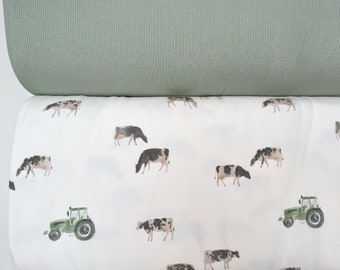 Cows Jersey und/oder Ribjersey desert sage Family Fabrics Stoffpaket Kinder Baby Herren Herbst Winter