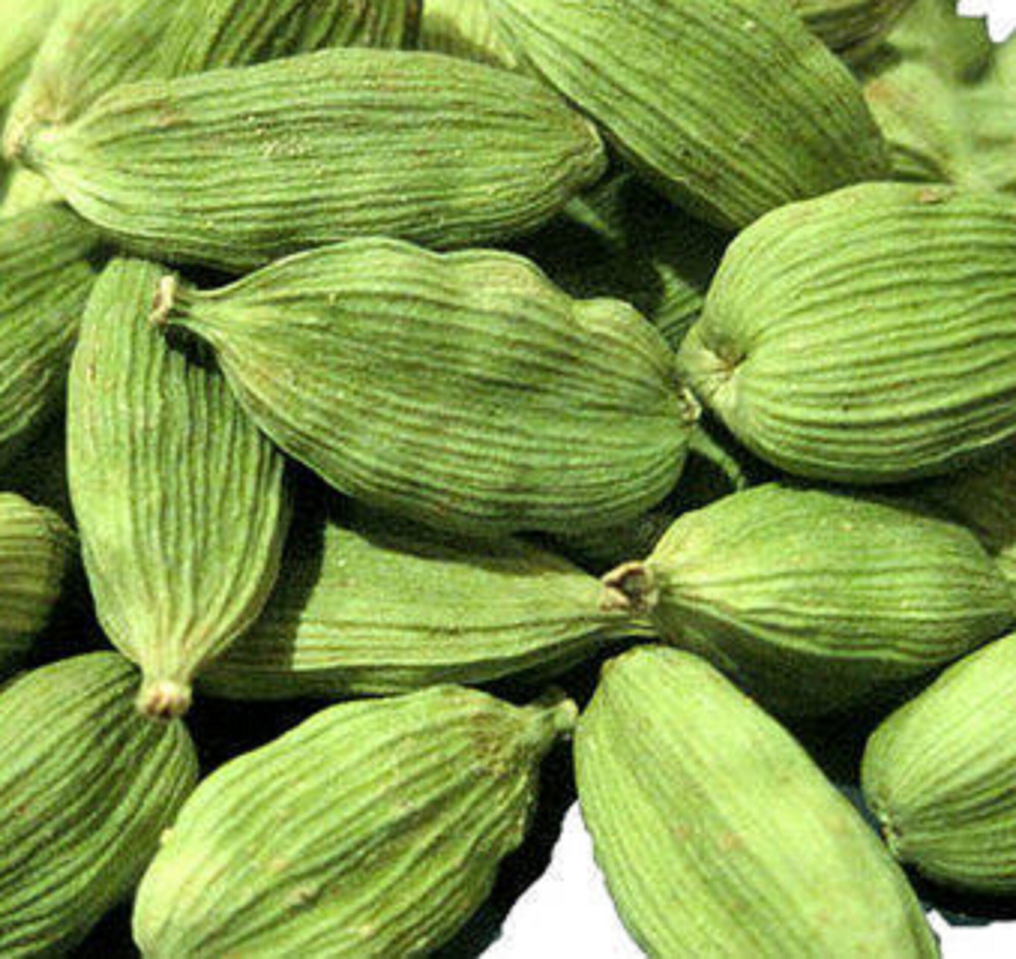 Cardamom Pods Organic Dried Cardamom Cardamom Seed Etsy