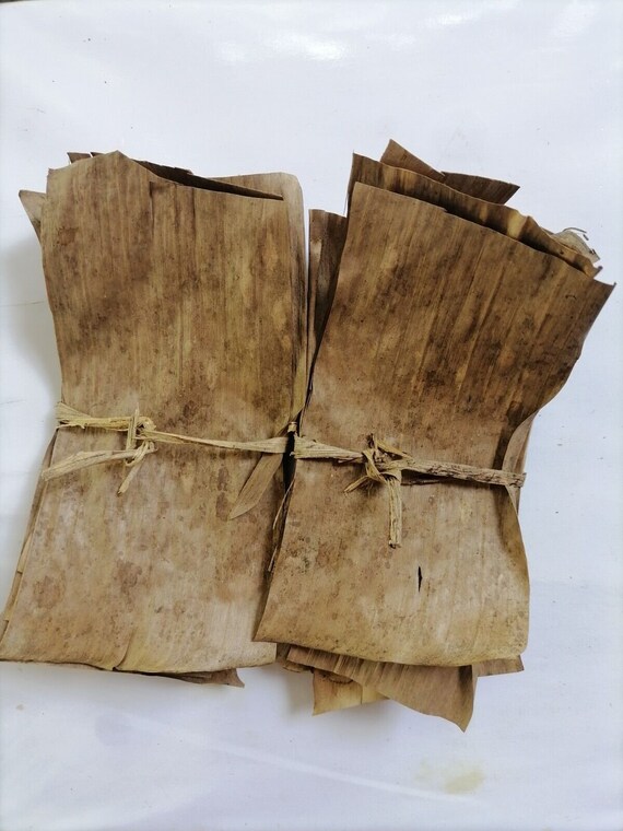 Dry Banana Leaf Sprigs for Aquarium Betta Fish Tank Alternate of Indian Almond Leaves Natural Eco Friendly Dried Leaves Etsy Israel