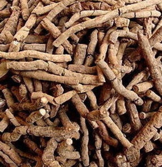 Sarsaparilla Root