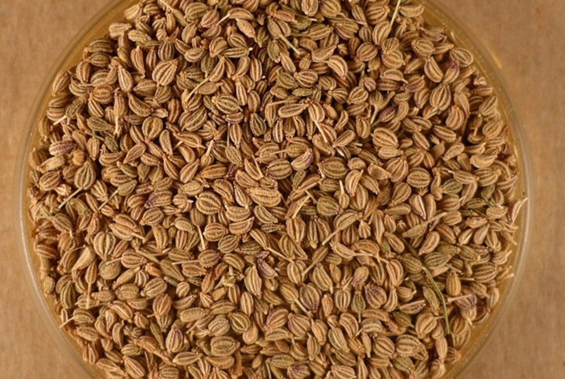 Ajwain Seed Ajowan Seed Weed Indian Organic Etsy