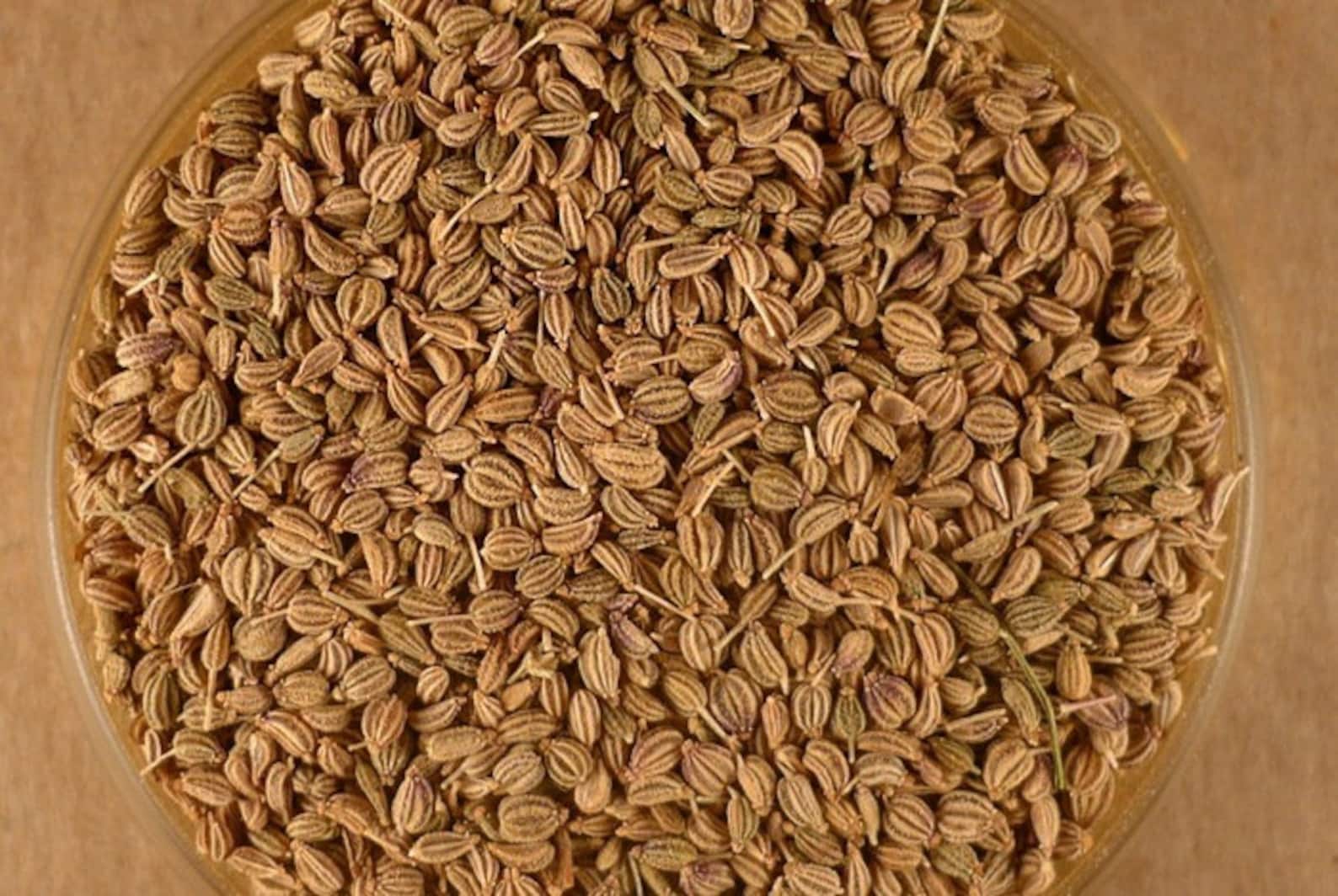Ajwain Seed Ajowan Seed Weed Indian Organic Etsy