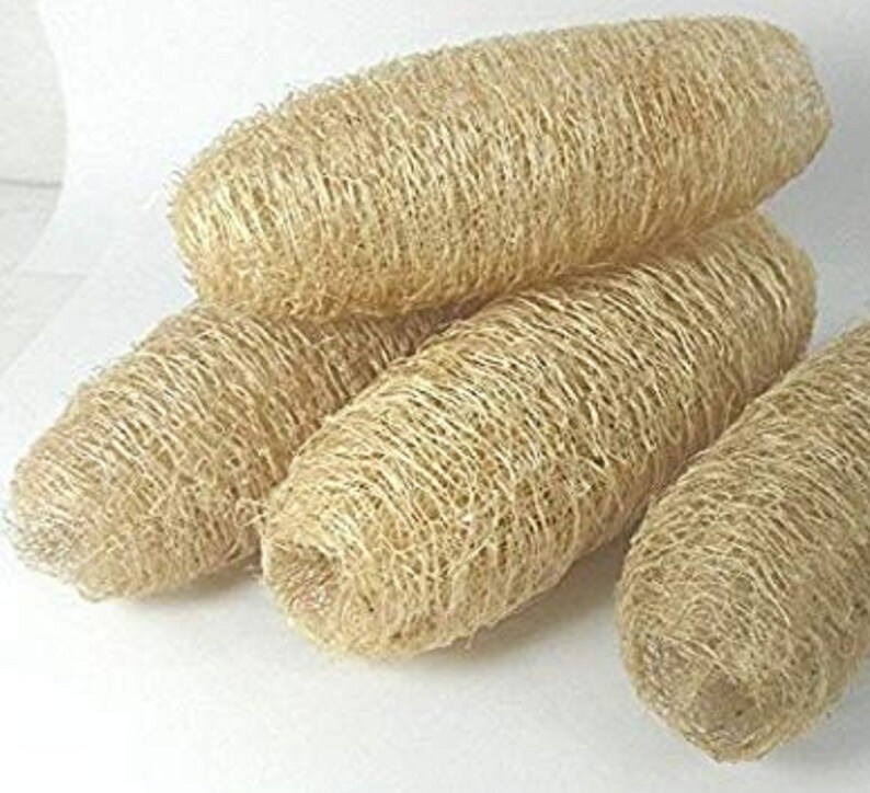 Luffa Bath Scrubber Loofah Sponge sponge Gourd A Set of 2 | Etsy