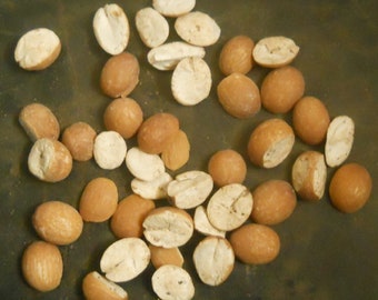 Cycas Circinalis Dried Seed Cuts , Queen Sago Dry Seed , Eenthu Dry Seed Cuts , Eenthinpana , Cycas Dried Seed , Queen Cycas Dried Seed Cut