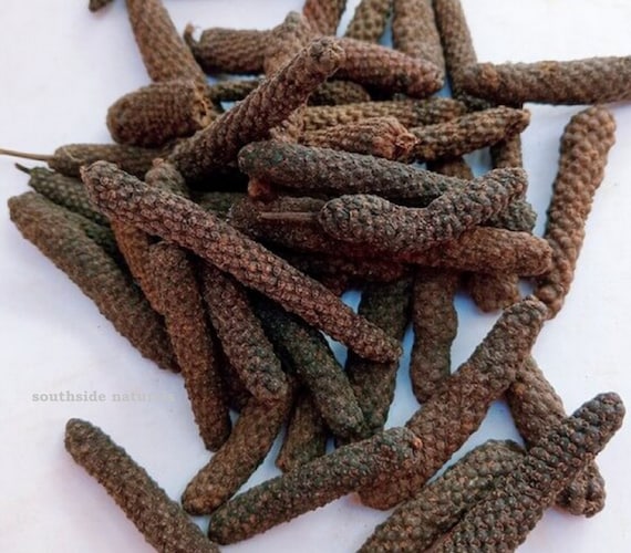 Long Pepper Piper Longum Dry Indian Long Pepper Piper Etsy