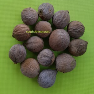 Terminalia Bellirica , Bedda Nut , Belliric Myrobalan image 2