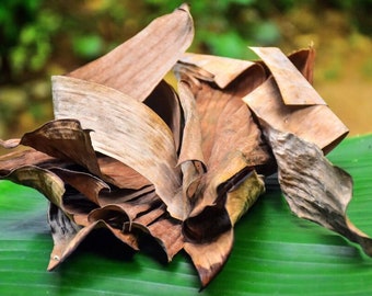 Dry Banana Leaf sprigs for Aquarium Betta Fish Tank Alternate of Indian Almond Leaves , Natural Eco friendly dried Leaves