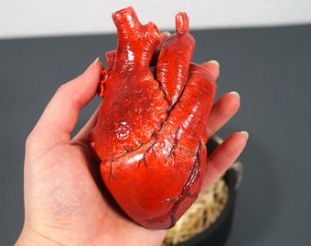 Human heart sculpture, Realistic heart Valentines gift