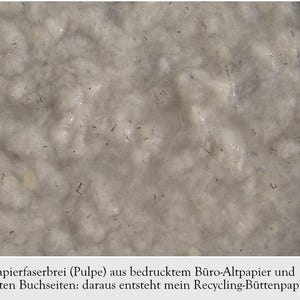 Nahaufnahme cremefarbener Pulpe aus alten Buchseiten, bei der man einzelne Buchstabenfragmente erkennt. Unter dem Foto der Text: "Papierfaserbrei (Pulpe) aus bedrucktem Büro-Altpapier und alten Buchseiten: daraus entsteht mein Recycling-Büttenpapier."