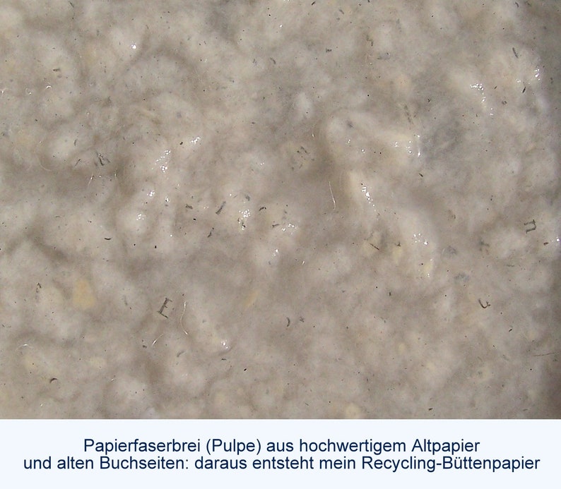 Nahaufnahme cremefarbener Pulpe aus alten Buchseiten, bei der man einzelne Buchstabenfragmente erkennt. Unter dem Foto der Text: "Papierfaserbrei (Pulpe) aus hochwertigem Altpapier und alten Buchseiten: daraus entsteht mein Recycling-Büttenpapier".