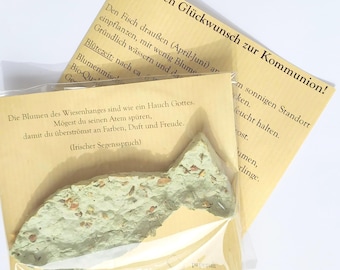 Seed paper fish for First Communion