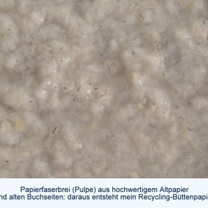 Detailaufnahme des cremefarbenen Papierfaserbreis auf dem Schöpfrahmen. Man erkennt einzelne Buchstaben-Fragmente. Darunter steht der Erklärtext: "Papierfaserbrei (Pulpe) aus hochwertigem Altpapier und alten Buchseiten: daraus entseht mein Recycling-Büttenpapier".