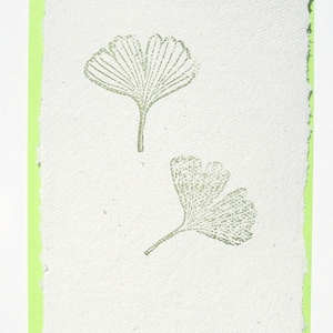 Postkarte Gingko mit Büttenrand und grünem Umschlag, handgeschöpfte Grußkarte