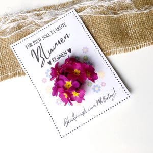 Imprimir modelo de cartão de felicitações - chuva de flores - para imprimir - parabéns pelo dia das mães - parabéns - flores - ideia de presente