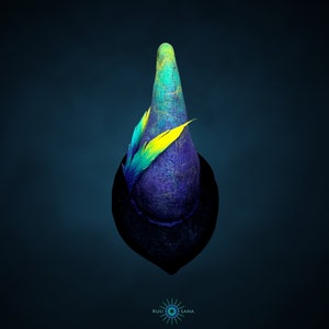 May include: A blue and green felt hat with a yellow and green feather accent. The hat is shaped like a cone and has a wide brim.