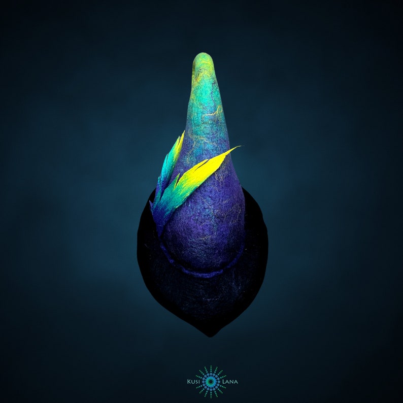May include: A blue and green felt hat with a yellow and green feather accent. The hat is shaped like a cone and has a wide brim.