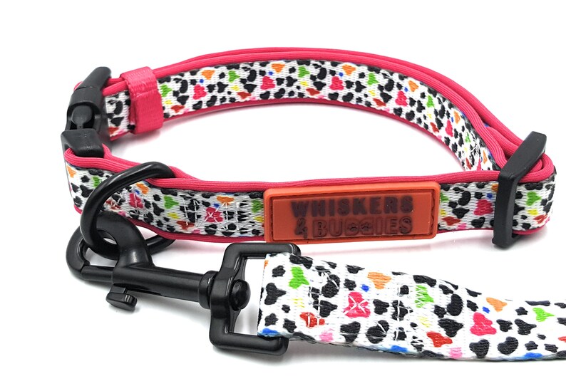 Dog Collar and Leash Set Cute Collar and Leash Female and Etsy