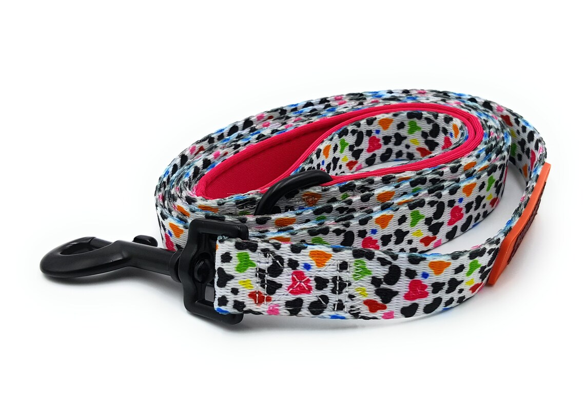 Dog Collar and Leash Set Cute Collar and Leash Female and Etsy