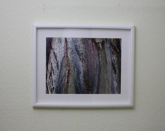 Framed Photography Colored Tribe, Photographs, Pictures, Photos, Wall Decor, Home Decor