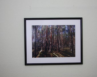 Ingelijste fotografie dennenbos, foto's, afbeeldingen, foto's, wanddecoratie, huisdecoratie