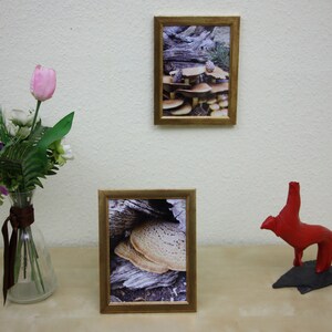 Paar lijsten met twee fotoafdrukken, paddenstoelen, fotografie, fotolijsten, fotoafdrukken, wanddecoratie