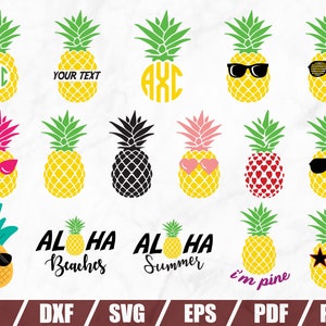 Pineapple SVG Files, Circle Monogram svg, Tropical Summer, Pineapple monogram, Pineapple sunglasses svg, cut files for Cricut, Silhouette