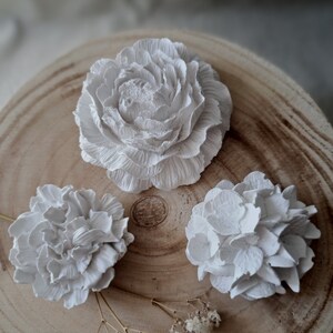 May include: Three white plaster flower wall decor pieces on a wooden surface. The flowers are in a variety of styles, including a peony, a hydrangea, and a rose.