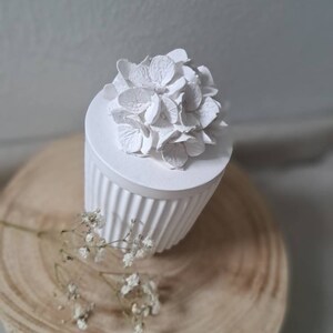 Könnte beinhalten: Weiße Keramikdose mit einer weißen Hortensienblüte obenauf. Die Dose hat ein geripptes Design und steht auf einer Holzoberfläche.