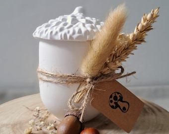 Acorn box, box, jewelry box, Raysin box, Raysindeko, Herbstdeko, white box, Raysin, decoration, Mellenkreionen