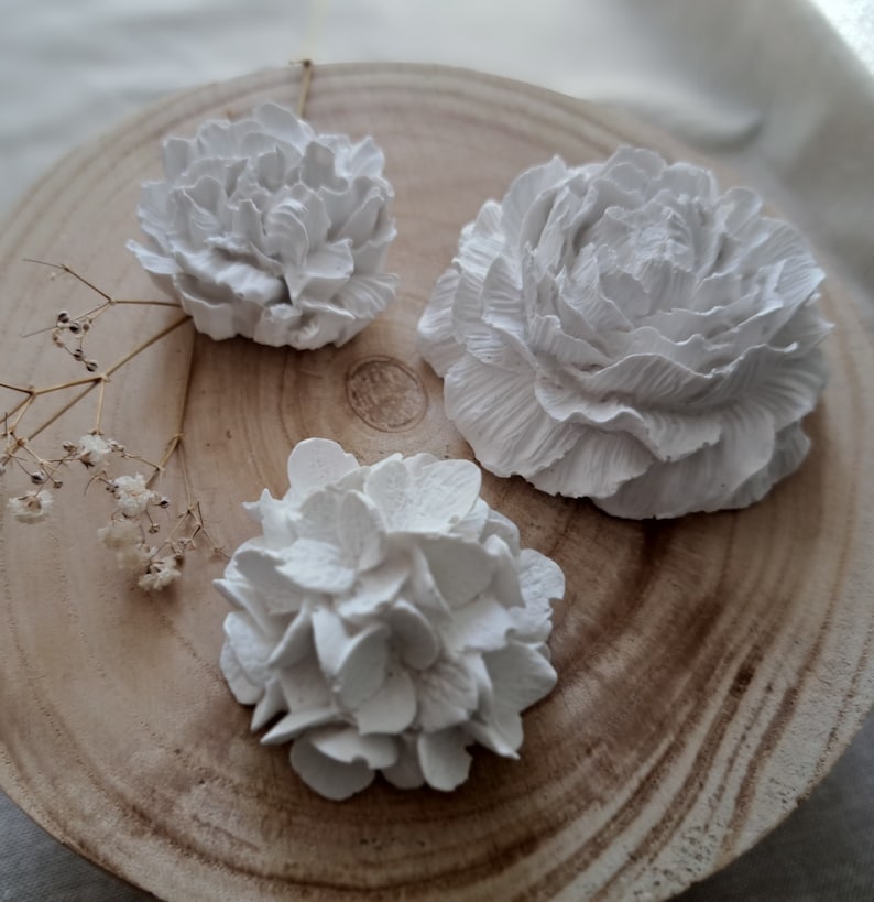 May include: Three white plaster flower decorations on a wooden surface. The flowers are in different styles, with one resembling a rose, another a peony, and the third a hydrangea.