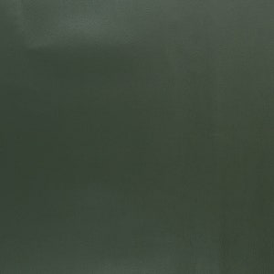 Couro sintético, imitação de couro, Swafing, Rex, liso, metálico, largura 140 cm, cor: verde escuro