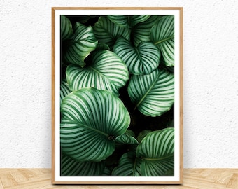 Tropical Wall Art, Palm Leaf Photo Digital Download, Dark Botanical Nature Photography, Large Printable Poster, Green Plant Print Boho Decor