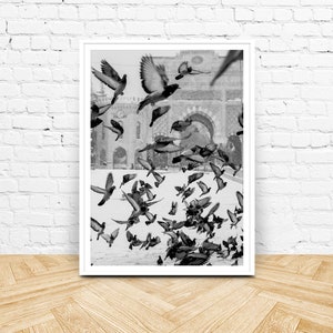 Bird Print, Black and White Printable Art, Instant Download, Flock of Birds Wall Art, Flying Pigeon Photography Print, Monochrome Decor image 5