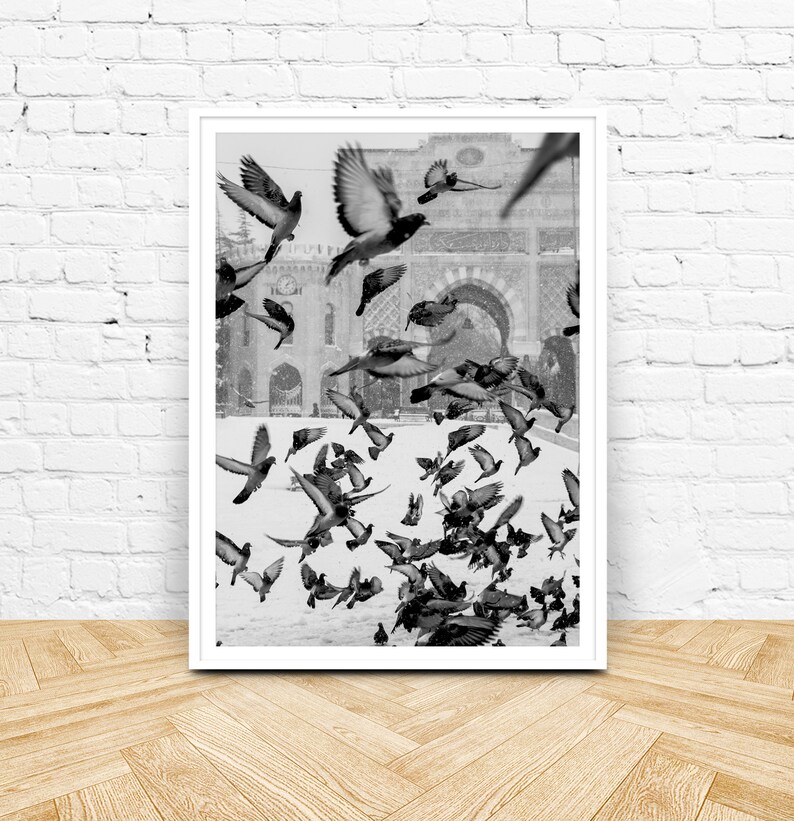 Bird Print, Black and White Printable Art, Instant Download, Flock of Birds Wall Art, Flying Pigeon Photography Print, Monochrome Decor image 5