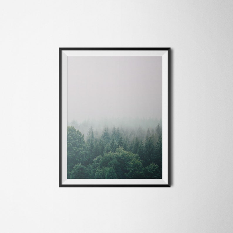 K&ouml;nnte beinhalten: Ein gerahmtes Foto einer nebeligen Waldszene. Die B&auml;ume sind dunkelgr&uuml;n und der Nebel ist hellgrau. Der Rahmen ist schwarz.