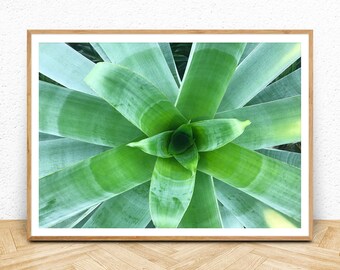 Tropical Plant Wall Art, Succulent Printable Poster, Digital Download, Instant Art Print, Green Leaf Print, Abstract Wall Art, Large Poster