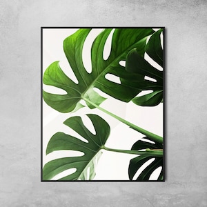 Monstera Deliciosa Digital Download Art, Tropical Plant Wall Art, Printable Poster, Instant Digital Print, Green Leaf Print, Green Wall Art